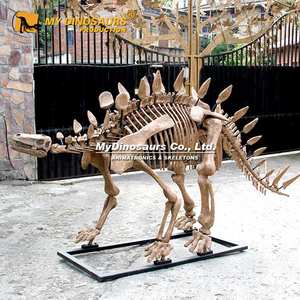MY DINO DS065 Parque infantil Decoración al aire libre <span class=keywords><strong>Esqueleto</strong></span> de dinosaurio <span class=keywords><strong>Stegosaurus</strong></span> - Product Image 1