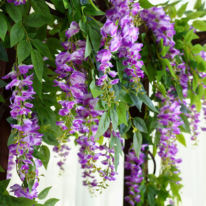 Guirlandes artificielles de glycine Hua Qianyun, fleurs en soie réalistes, décoration suspendue pour mariage, maison, décoration de plafond - Product Image 2