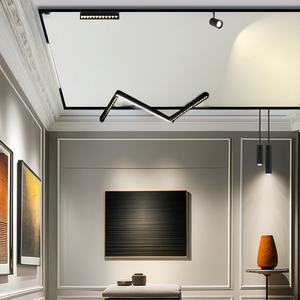 48V quang phổ đầy đủ dẫn chiếu sáng phong cách hiện đại cực kỳ hẹp từ theo dõi ánh sáng đường sắt trắng đen nhôm đèn cho phòng khách - Product Image 1