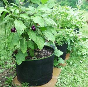 Vente d'usine 60 pièces Pack 1 / 2 / 3 / 5/10/20/30 gallons fournitures <span class=keywords><strong>de</strong></span> jardin <span class=keywords><strong>sac</strong></span> <span class=keywords><strong>de</strong></span> plantes respirant écologique sacs <span class=keywords><strong>de</strong></span> culture en feutre - Product Image 3