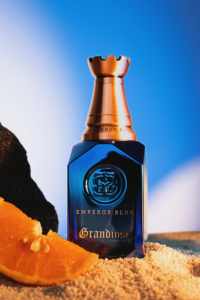 Parfum pour homme GRANDIOSE Oud Spicy Woody 100ml Eau de Parfum, senteur longue tenue, qualité supérieure, pour homme. - Product Image 5