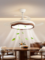 Ventilateur de plafond invisible avec télécommande LED, design minimaliste moderne, température de couleur réglable, montage au plafond, haut de gamme, CRI élevé
