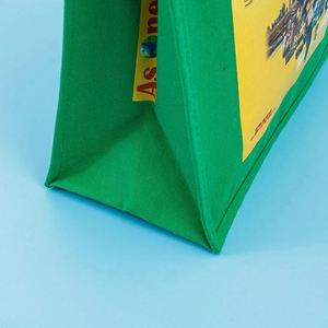 Bolsa de Regalo Navideña Verde al por Mayor de Fábrica, Bolsa de Lona Impermeable - Product Image 4