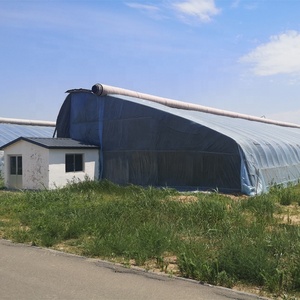 Serra Agricola Idroponica Multi-Span FUMA FM-GH con Copertura in Film in PE per la Coltivazione di Fragole - Product Image 1