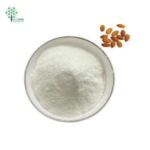 Poudre de protéines d'amande Extrait d'amande 60% de protéines - Product Image 1