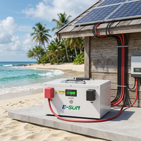 Paket Baterai LiFePO4 E-SUN 12V 24V Grade A dengan Smart BMS 100ah 150ah 200ah 280ah, Baterai Surya untuk Penyimpanan Energi Off Grid