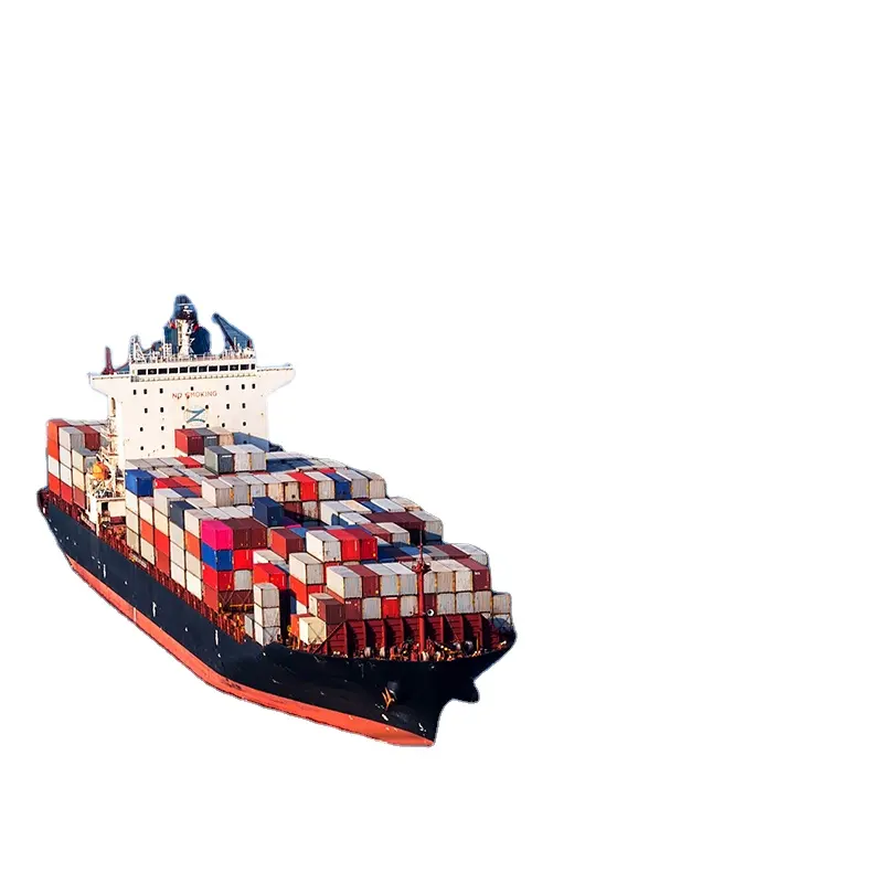 Serviços de logística profissional e de alta qualidade para transporte marítimo da China para DPD RXP USPS