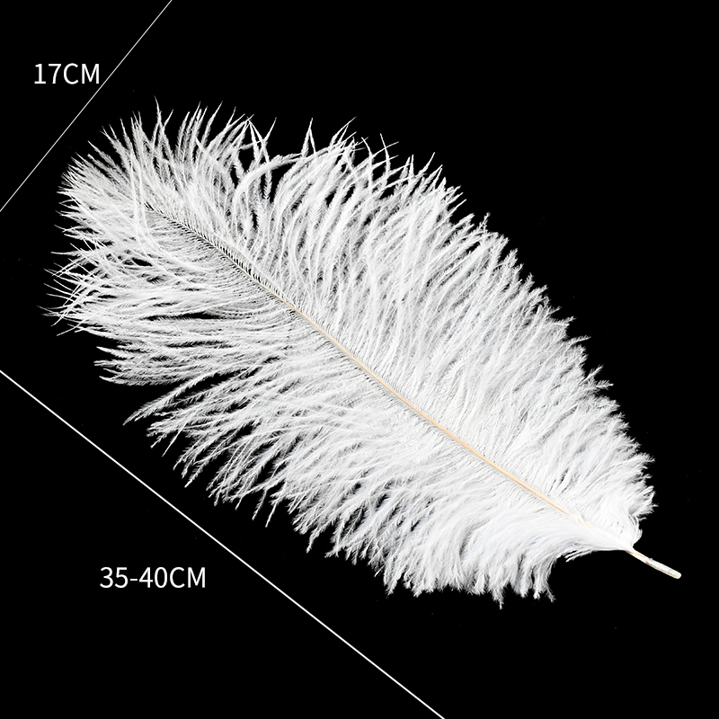 Blanc 5