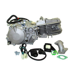 Moteur <span class=keywords><strong>Anima</strong></span> 190FDX 190cc Daytona 4 soupapes sans système d'éclairage - Product Image 3