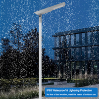 Farola Solar Todo en Uno de Alta Luminosidad, Lámpara Solar LED para Exteriores, IP65 Impermeable, para Carreteras, Jardines y Estacionamientos