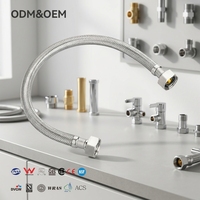 Tuyau flexible tressé en acier inoxydable moderne et durable de 31 cm/51 cm, tuyau d'eau chaude et froide pour robinet de cuisine EPDM
