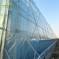 Serre agricole multi-travées avec couverture en film PO et structure en acier, serre complète pour la plantation et la culture hydroponique