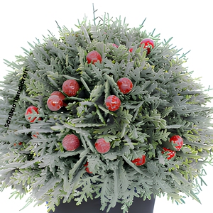 Plante artificielle de 20 cm en cèdre de Genève floqué avec baies <span class=keywords><strong>rouges</strong></span>, en pot, écologique, haute simulation, pour mariage, Thanksgiving, Noël - Product Image 3