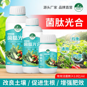 Fertilizante líquido a base de plantas Agentes microbianos de liberación lenta <span class=keywords><strong>Amino</strong></span>ácidos Mejora la salud del suelo Aumenta el rendimiento de frutos para los cultivos - Product Image 2