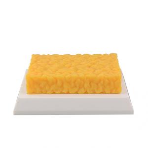 Modèle anatomique <span class=keywords><strong>de</strong></span> comparaison <span class=keywords><strong>poids</strong></span> (graisse et muscle) 1lb 5lb – Kit pédagogique pour l'éducation au fitness et à la <span class=keywords><strong>perte</strong></span> <span class=keywords><strong>de</strong></span> <span class=keywords><strong>poids</strong></span> - Product Image 3