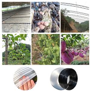 Fil en acier <span class=keywords><strong>plastique</strong></span> haute résistance, matériau PET, corde de pressage pour film de <span class=keywords><strong>serre</strong></span>, câble de soutien blanc/noir, accessoires de <span class=keywords><strong>serre</strong></span> - Product Image 6