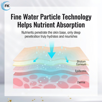 Appareil de mésothérapie à jet d'eau et d'oxygène haute pression pour l'hydratation et le rajeunissement du visage, vaporisateur nano portatif, injecteur facial