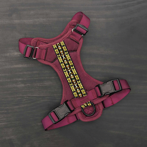 Personalizzato stampato Oem sport cane imbracatura Boho No Pull Running imbottito personalizzato imbracatura per cani ricamato per cani di grande razza - Product Image 4