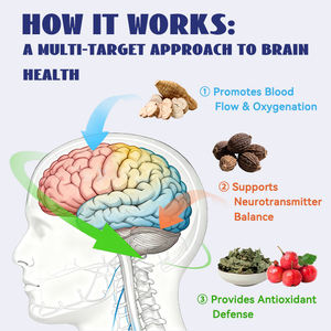 Thé de complément alimentaire à base d'herbes naturelles biologiques pour améliorer la mémoire cérébrale, la concentration et le soutien cognitif, stimuler la mémoire - Product Image 2