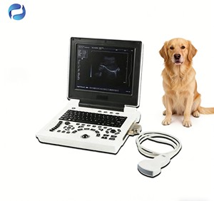 Perangkat Pemantauan Hewan Portabel Berkinerja Tinggi Mesin Pemindai <span class=keywords><strong>Ultrasound</strong></span> <span class=keywords><strong>Laptop</strong></span> Medis - Product Image 6