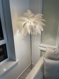 Lampadaire <span class=keywords><strong>plume</strong></span> chevet blanc <span class=keywords><strong>plume</strong></span> d'autruche coin debout lumière pour salon lampe <span class=keywords><strong>plume</strong></span> d'autruche - Product Image 6