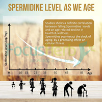 FocusHerb OEM Extrait de germe de blé végétalien de qualité alimentaire Spermidine 500mg/60 gélules/flacon Extraction liquide-solide ISO 9001 Casher