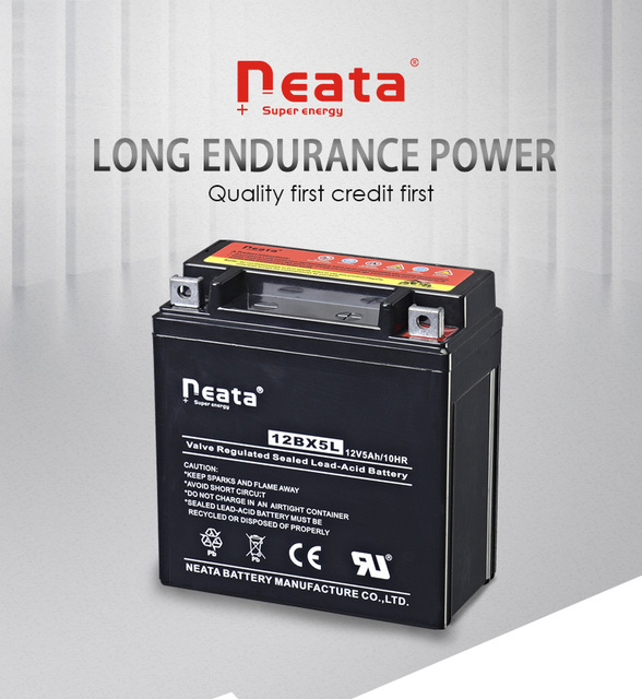 Neata 12V 9Ah Motorcycle Battery for Powersport Scooters ATVs/Powersport Scooters/Electric Vehicles Indonesia