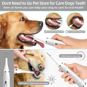 Pulitore Dentale Sonico, Rimozione Placca e Tartaro, Dispositivo Elettrico Ricaricabile per Pulizia Denti, Uso Domestico - Product Image 3