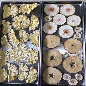 Lyophilisateur compact en acier inoxydable pour friandises pour animaux de compagnie, collations maison pour chiens et chats - Product Image 5