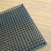 Tapis de drainage en PP 2 m HDPE, plante artificielle de 30mm, bâche de drainage, toit de jardin, géo, prix