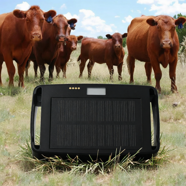 Cow GPS Tracker Tracking Device Animal  Tracker 4G LTE Real Time Positioning Waterproof Antitheft GPS Tracking