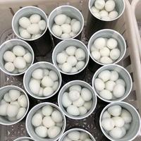 Œufs de caille pelés en conserve, cuits et salés, qualité supérieure, pour salades, collations et services de restauration, vente en gros en vrac auprès d'un fournisseur chinois