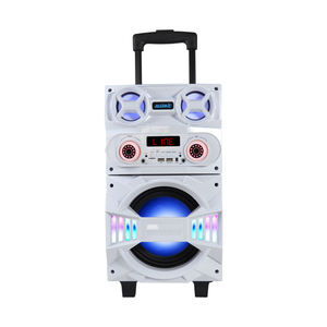 OEM Logo Heavy Bass Boombox Speaker Bluetooth Usb Fm Radio Outdoor Trolley Party Karaoke Speaker With Wireless Mic