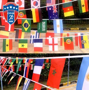 Bandera de los 32 Equipos de la Copa Mundial, Bandera Nacional de Poliéster de 12 m, Decoración Colgante para Fanáticos del Fútbol, Fiestas Deportivas, Decoración de Bares - Product Image 5
