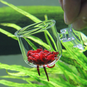 Alimentador de peces de gusano rojo para acuario, contenedor de comida flotante de acrílico transparente para peces - Product Image 5