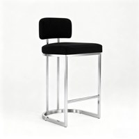 Tabouret de bar Bauhaus moderne et minimaliste en acier inoxydable pour usage domestique, tabouret haut de comptoir avec dossier, non rotatif, non réglable