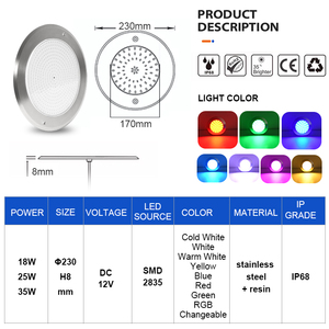 Tùy chỉnh 12V IP68 không thấm nước đa màu RGBW dưới nước LED hồ bơi đèn dưới nước bơi - Product Image 2