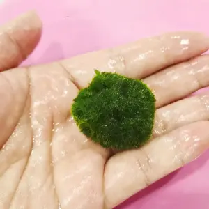 Mosballetjes <span class=keywords><strong>Aquarium</strong></span> <span class=keywords><strong>Aquarium</strong></span> Decoraties Planten Voor Aquatische Huisdieren - Product Image 5