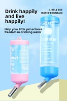 Bouteille d'eau anti-goutte pour petits animaux, distributeur d'eau à roulement à billes pour hamsters, lapins et cochons d'Inde