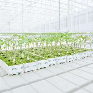 UPuper serres commerciales agricoles plantation <span class=keywords><strong>de</strong></span> <span class=keywords><strong>tomates</strong></span> laine <span class=keywords><strong>de</strong></span> roche hydroponique - Product Image 6