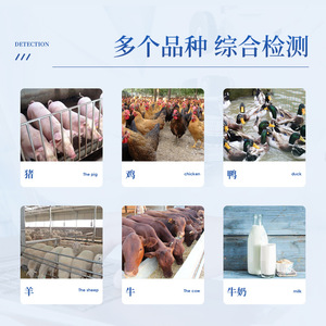 Laiyin Technology Animal Disease Diagnostic IN-DOUBLE WiFi Upload Veterinary Use - Product Image 4