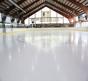 Tấm Sân Trượt Băng Nhân Tạo Tấm Sân Trượt Băng Sân Sau Chống Mài Mòn - Product Image 1