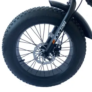 Vélo électrique pliable avec gros pneu, E-Bike, pliable, OEM, 20 pouces, 48V, 250W