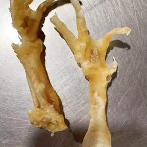 Di alta qualità ad alto contenuto proteico piedi di pollo secco e piedi d'anatra per animali domestici per cani - Product Image 3