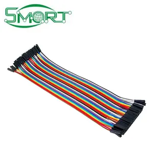 40pcs Dupont Cable Jumper Wire Dupont Line 20Cm 40Pin Female To Female 2.54Mm Dupont Connector Cable Jumper Cable 40PCS Wires