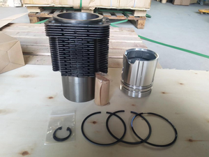 Nouveau kit de chemise de cylindre STD 04157756 pour moteur FL912 - Product Image 6