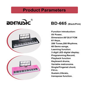 Orgue électronique BD MUSIC BD-665, clavier musical, instruments de musique, 61 touches, à vendre - Product Image 3