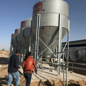 Stockage des aliments dans les grandes et moyennes exploitations - Product Image 1