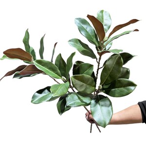 Feuilles de Magnolia Artificielles Meng Jie 30cm-100cm en PVC Vert pour Décoration d'Intérieur et Fleurs de Vase - Product Image 5