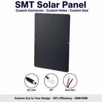Mini panneau solaire étanche sur mesure 3W 5W 10W 20W 25W 20W 5V 6V 9V 12V 18V, panneau solaire mono ETFE de petite taille pour appareil IoT